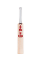 SG ARC 3.0 Cricket Bat